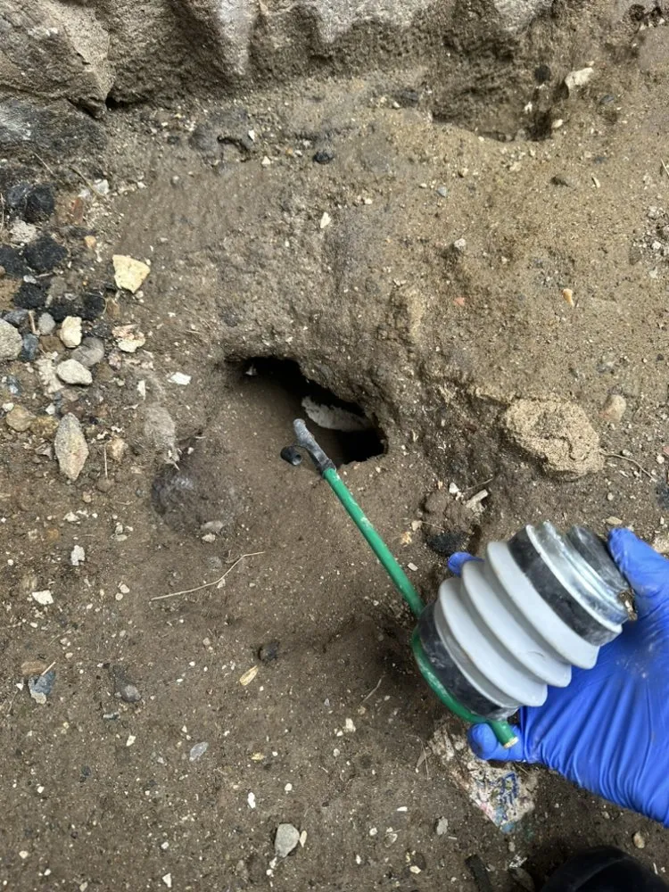 Technician treating an active rodent burrow at the edge of a property